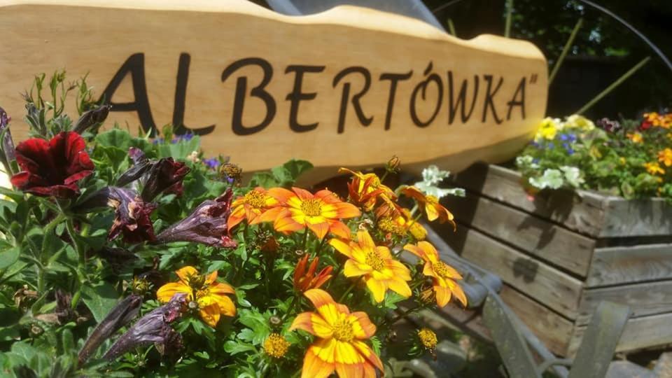 Albertowka Trzciel Exterior foto